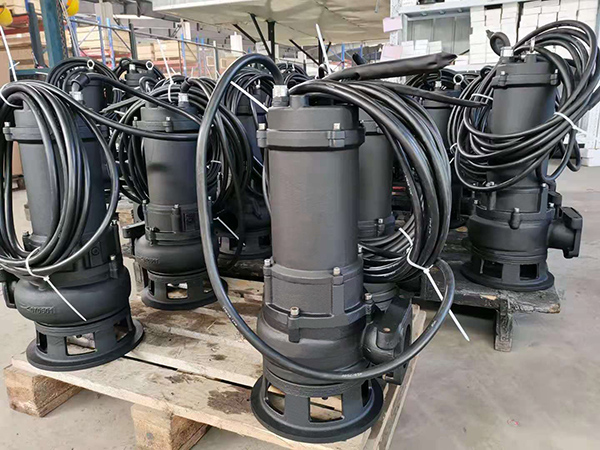 歐洲一公司訂購一批潛水排污泵